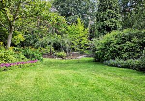 Optimiser l'expérience du jardin à Signy-Montlibert